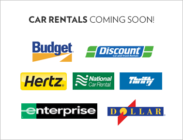 car rentals